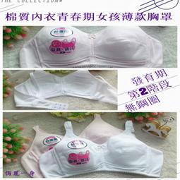 台灣製新品 DP-90-110V無油真空泵浦-空壓機  抽真空/拔罐 歷史價格詳細信息