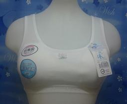 夏日聖品-陽離子吸濕排汗女性短袖圓領機能運動衫(可內外穿) 歷史價格詳細信息