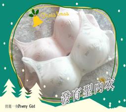 俏麗一身【台灣製】R46900嚴選無鋼圈內衣學生款少女型棉質薄襯吸汗透氣貼身舒適柔軟抗菌32/34/36/38天天出貨 歷史價格詳細信息