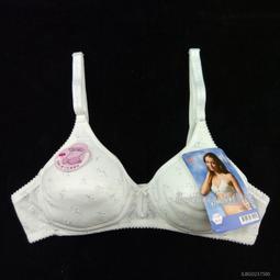 【艾樂比】台灣製 條紋網布透氣少女胸衣 發育期少女背心 女童寬肩胸衣 兒童內衣 成長型內衣 學生運動內衣 歷史價格詳細信息