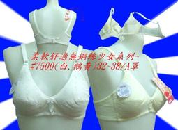 ☆鳳之屋☆薄襯少女成長學生胸罩~無鋼絲系列~每件特價150元~#3663 歷史價格詳細信息