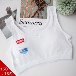 &deg;☆星光小舖☆ 台灣製舒適薄棉襯學生型內衣/睡眠內衣/無鋼圈˙32 34 36 38號6010 歷史價格詳細信息