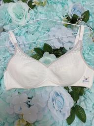 全新過季零碼Ralph Lauren Polo (黑/寶藍/白/深藍/灰)小熊款polo特價出清1280元~3件8折 歷史價格詳細信息