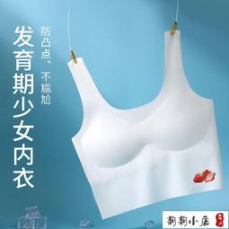 【限時促銷】 學生內衣 發育期內衣 運動內衣女背心式防震跑步防下垂少女速干聚攏文胸學生高中生胸罩 歷史價格詳細信息