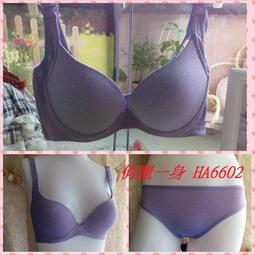 HA6702 Tornado GR.1 ZA 592&quot;G&quot;,No.9 Sqn.,RAF Honington,1983 歷史價格詳細信息