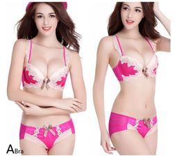 【yes99buy】{唯美胸線}蕾絲세트內衣套裝 聚攏新娘結婚內衣內바지褲七天預購+現貨 歷史價格詳細信息