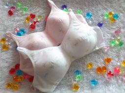 俏麗一身【台灣生產】R43900全罩杯調整型無鋼圈內衣3排3扣大尺碼胸罩集中斜邊高~傳統款老人家阿嬤都愛 歷史價格詳細信息