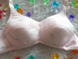 俏麗一身【台灣製】R46900發育期學生款無鋼圈內衣少女型棉質輕薄吸汗透氣貼身舒適柔軟抗菌32/34/36/38店長推薦 歷史價格詳細信息