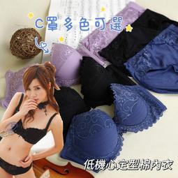 素面蕾絲窗貼(長)-LSP04 歷史價格詳細信息