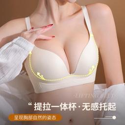 無痕性感調整型bra❤小胸聚攏顯大設計感深V上托收副乳文胸裝  露天市集  全台最大的網路購物市集 歷史價格詳細信息