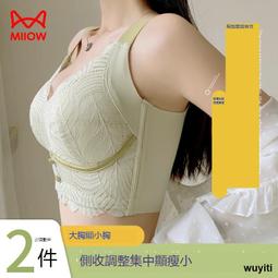 【優選國際購】貓人大胸顯小胸內衣女聚攏收副乳防下垂新款運動提拉上托爆款文胸 歷史價格詳細信息