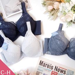 &lt;平價商行&gt; 電線..延長線..插頭 .電源線 .(電風扇.吹風機.冰箱.飲水機.)等等 歷史價格詳細信息