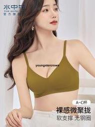 【精選好貨】美背內衣女士小胸聚攏無痕外擴收副乳防下垂文胸罩2024夏季新爆款 歷史價格詳細信息