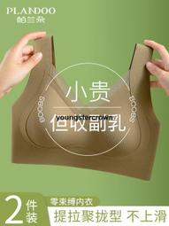 【精選好貨】內衣女小胸聚攏顯大收副乳防下垂調整型提拉無痕顯圓防外擴文胸罩 歷史價格詳細信息