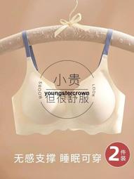 【精選好貨】內衣女小胸聚攏顯大收副乳防下垂調整型提拉無痕顯圓防外擴文胸罩 歷史價格詳細信息