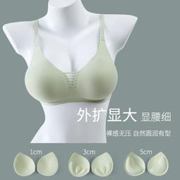 【快速出貨】漫畫胸內衣女小胸聚攏外擴型胸文胸女士無肩帶收副乳胸罩秋冬火辣 歷史價格詳細信息