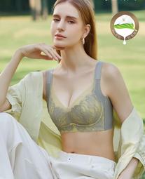 【現貨免運】紅色內衣女本命年秋冬大尺碼下垂外擴上託收副乳大胸顯小胸薄款 歷史價格詳細信息