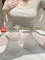 支持小額 12.8v50ah太陽能路燈廣告監控電力監測磷酸鐵 歷史價格詳細信息