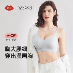 【現貨秒發】外擴內衣女小胸聚攏加厚6cm顯大一體式胸墊圓圓胸漫畫胸文胸辣妹 歷史價格詳細信息