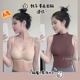 【滿額免運】漫畫胸外擴內衣女小胸爆乳大美背文胸無鋼圈軟支撐防下垂文胸 歷史價格詳細信息