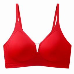 新年紅色結婚內衣套裝新娘女質感新郎內褲本命年情侶文胸婚慶禮盒 歷史價格詳細信息