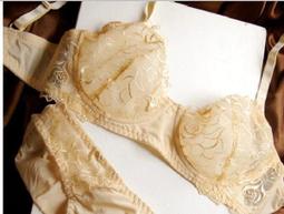 B1163 寵物秋冬裝寵物衣服狗狗衣服 貓咪衣服寵物防寒保暖寵物服飾 寵物套裝寵物變身裝小型犬 貓狗保暖衣狗用品貓用品 歷史價格詳細信息