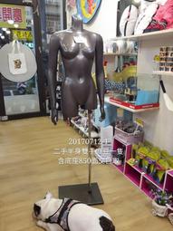 二手模特兒韓風蕾絲半身模特兒玻璃纖維不能插針20200720-12熊熊二手模特兒 歷史價格詳細信息