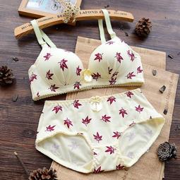 日系簡約風 內衣收納盒 三件套組 (6格+7格+11格) 歷史價格詳細信息