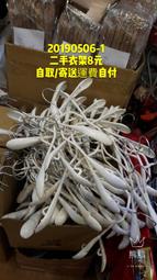 (可小議)Epson T5投影機近全新完整配備 歷史價格詳細信息