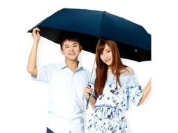 【買一送一】雨之情 防曬紳士木中棒直傘6色-大傘面 超潑水 木傘 長直傘 自動傘 歷史價格詳細信息