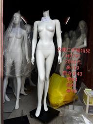 【大龍兄二手書店】《有個女孩叫FEELING》ISBN:9574699250│商周出版│藤井樹│七成新 歷史價格詳細信息