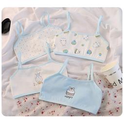 台灣現貨「大單元耳機收納包」適用於森海塞爾 索尼 Beats 鐵三角 賽睿 雷蛇等頭戴包耳式大耳機 手提便攜防震保護包 歷史價格詳細信息