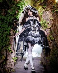 【Starydust預購】星辰貓-白雪姬玫瑰加冕全套9件、JSK套組定金/Lolita《截止日》11月29日 歷史價格詳細信息