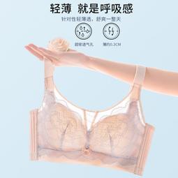pidan 胸背帶 犬用 胸背帶 柔軟 舒適 透氣 可調節 漸層設計 防爆衝 外出用品 外出 胸背 狗狗 小型犬 中型犬 歷史價格詳細信息