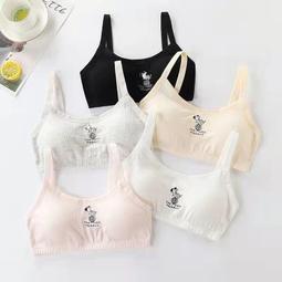 台灣現貨現貨免運 少女初中學生純棉女大童內衣女生青春期薄款兒童背心發育期內衣優選 歷史價格詳細信息