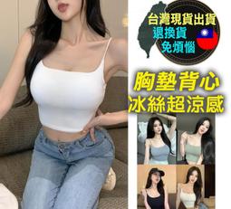 【現貨免運】涼感冰枕芯 枕芯 枕頭 護頸枕 頸椎枕頭 子枕 支撐度好 冰涼 舒眠 降溫  露天市集  全台最大的網路購物 歷史價格詳細信息