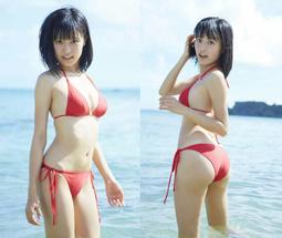 性感魚~泳裝布料~紅色黑綁帶情趣比基尼(U213BR) 歷史價格詳細信息