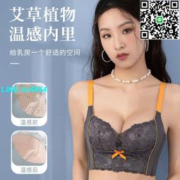 楊小琳 - 綠薏衣 YANG Xiao-lin CD專輯 二手 C02 歷史價格詳細信息