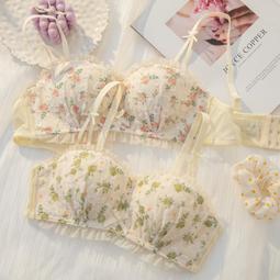 【限時下殺1.3】法式內衣內褲女2023新款性感套裝美背小胸聚攏防外擴秋冬潮汕汕頭 歷史價格詳細信息