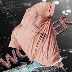 男士短袖t恤衣服緊身冰絲上衣短袖大尺碼體恤男新款春夏裝24Z 歷史價格詳細信息