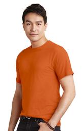 吉爾吧椅(中)(布)（大台北免運費)促銷價3200元【阿玉的家2024】 歷史價格詳細信息