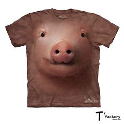 【線上體育】紅雙喜 新材料 40+ 國際認證環保材質(6顆裝) 歷史價格詳細信息