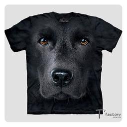 [線上體育] 拉力帶 瑜珈 伸展 輕型 橘色 寬15CM 長46M 歷史價格詳細信息