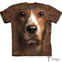 M號 美國 Sunday Afternoons  女 抗UV輕量透氣寬簷帽-海水藍 S2C02962B-515 歷史價格詳細信息