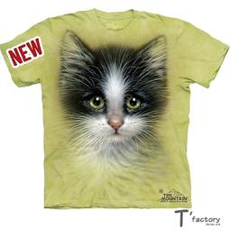 貓眼3號一件代發清倉防盜門貓眼高清晰大視角金屬材質防摔隨貨附帶收據 歷史價格詳細信息