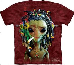 [線上體育] 拉力帶 瑜珈 伸展 輕型 橘色 寬15CM 長46M 歷史價格詳細信息