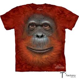 【線上體育】紅雙喜 新材料 40+ 國際認證環保材質(6顆裝) 歷史價格詳細信息