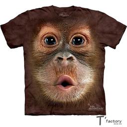 【線上體育】紅雙喜 新材料 40+ 國際認證環保材質(6顆裝) 歷史價格詳細信息