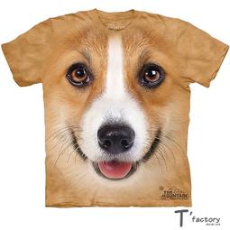 大號柯尼塞格jesko車模汽車模型合金仿真男孩玩具車跑車擺件禮物 歷史價格詳細信息