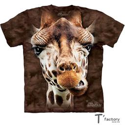 143619&quot;C倉庫&quot;熱轉印紙 PCB製作熱轉印紙 A4白色 整包100張   143619]  蝦 歷史價格詳細信息